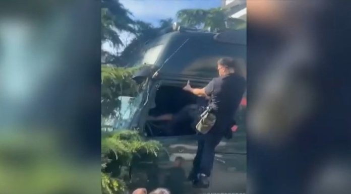 Ce se întâmplă cu polițiștii locali care l-au lovit șoferul TIR-ului care provocat haos în Constanța