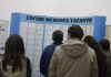 INS. Rata şomajului în trimestrul I 2026 a fost de 6,5%, în creştere cu 0,2 puncte faţă de trimestrul IV din 2025. Cel mai ridicat nivel, în rândul tinerilor