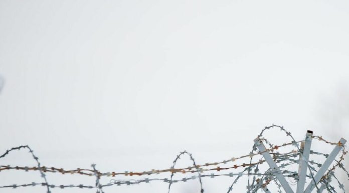 Cum au răspândit închisorile sovietice un „limbaj secret al hoților”, folosit acum de infractorii cibernetici ruși
