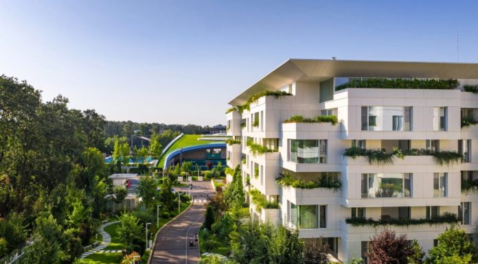 Stejarii Collection: apartamente de lux concepute exclusiv pentru închiriere, într-un ecosistem urban integrat în natură (P)