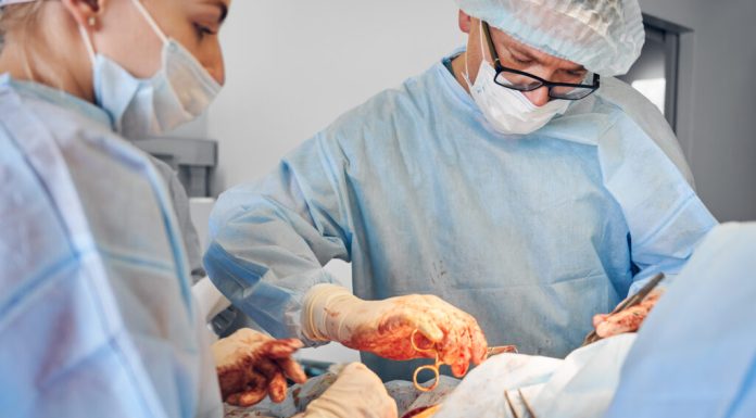 Premieră mondială: un om a primit trei organe de porc