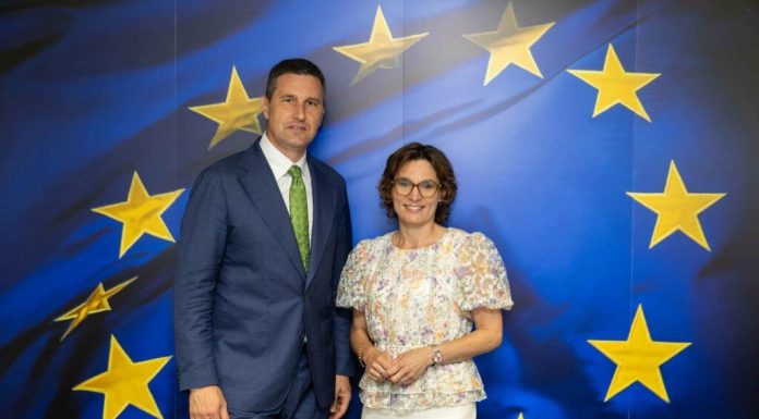 România cere la Bruxelles schimbarea statutului ursului brun