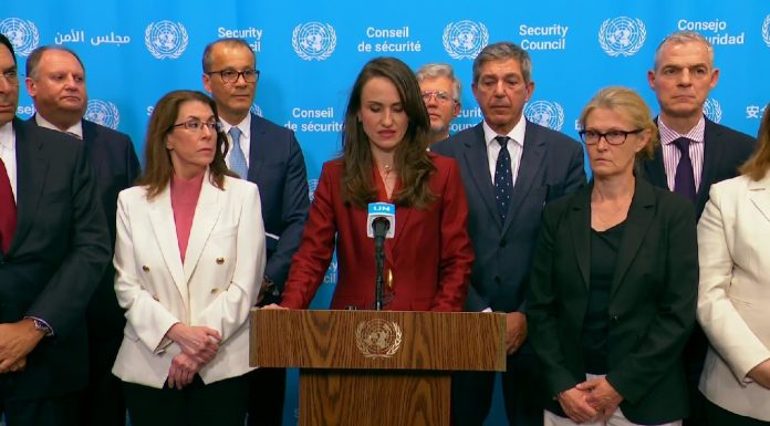 UPDATE – Ţoiu, înaintea şedinţei Consiliului de Securitate al ONU: Încălcarea de către dronele ruseşti a spaţiului aerian al României şi al altor ţări central şi est-europene, consecinţă a tacticilor de escaladare urmate de Rusia în lupta contra Ucrainei