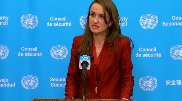 Oana Ţoiu: A fost surprinzătoare declaraţia lor prin care spuneau că cererea României vine ca o consecinţă a dorinţelor lumii occidentale. Europa de Est ştie foarte bine la ce să se aştepte de la Rusia