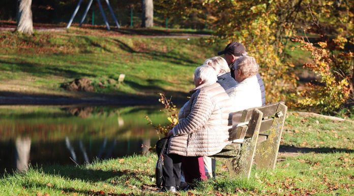 Numărul pensionarilor a scăzut. Pensia medie a fost de 2.784 de lei