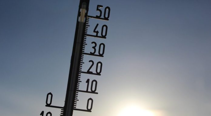 Școli închise și trenuri anulate în mai multe țări din Europa. Măsurile luate împotriva valului de căldură