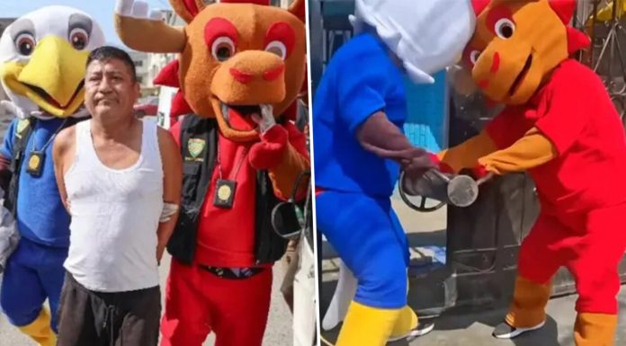 „Mascotele” de la Cupa Mondială au prins un traficant de droguri. Ce s-a întâmplat