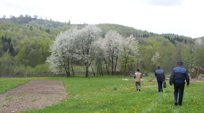 Copil de doi ani, mort după ce a căzut într-un râu care trece prin spatele curţii în care locuia