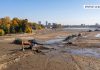 ANIMAȚIE. Cum ar putea arăta Lacul Herăstrău după ce va fi golit. Activiștii avertizează că fauna ar putea avea de suferit