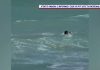 Pericolul invizibil pentru cei care merg la mare. Imagini dramatice surprinse în Eforie Sud. VIDEO