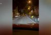 Un urs care a intrat de mai multe ori în Râșnov a fost ucis. 34 de exemplare au fost omorâte în acest an