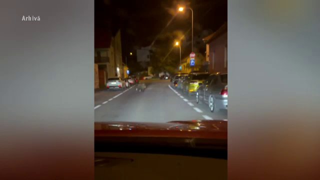 Un urs care a intrat de mai multe ori în Râșnov a fost ucis. 34 de exemplare au fost omorâte în acest an
