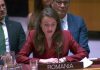 Oana Țoiu contrazice la ONU narațiunea Rusiei despre drona de la Galați: „Analiza arată fără îndoială că era de origine rusească”