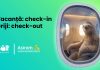 Easy Travel de la Asirom, acum direct în aplicaţia Salt Bank