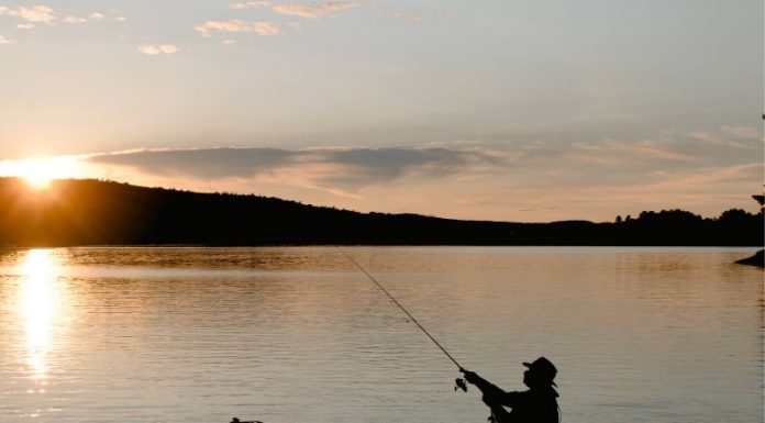 Pescuitul la crap, între hobby de weekend și strategie: cum îți alegi echipamentul potrivit? (P)
