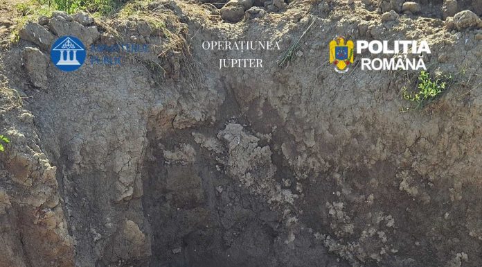Operaţiunea JUPITER – Zece percheziţii în Constanţa, la persoane care au sacrificat animale şi le-au abandonat leşurile pe câmp / Cadavre de ovine şi bovine, găsite într-o groapă din zona unei ferme