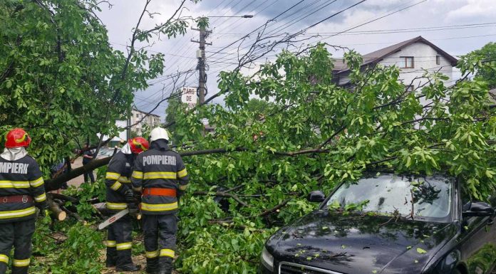 Cod portocaliu de furtuni – Intervenţii ale pompierilor pentru evacuarea apei din curţi şi gospodării / Mai mulţi copaci îndepărtaţi de pe drumuri şi autoturisme – FOTO / VIDEO
