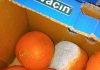 Comisarii ANPC au dat amenzi de peste 4,7 milioane de lei în urma controalelor din această săptămână / 11 unităţi au fost închise temporar / Au fost găsite alimente expirate şi produse vegetale cu mucegai